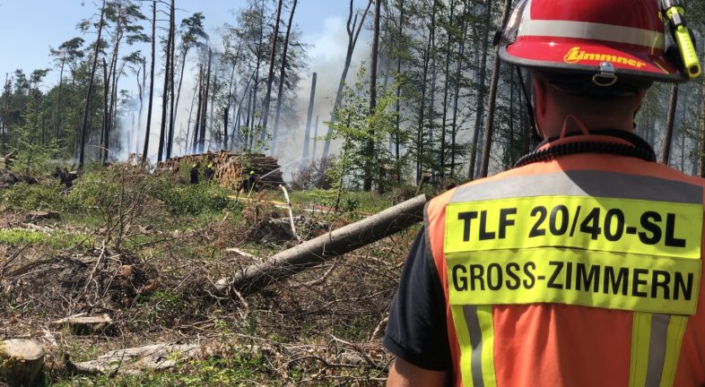 Waldbrand Munster Die Feuerwehren Der Gemeinde Gross Zimmern