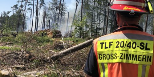 Einsatz Waldbrand Münster