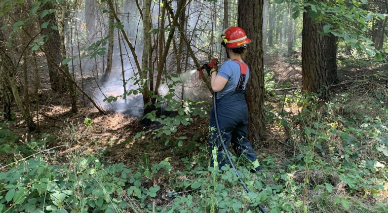 Einsatz Waldbrand